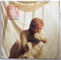 GREG ALLMAN BAND / NEIL LARSEN - THROUGH ANY WINDOW