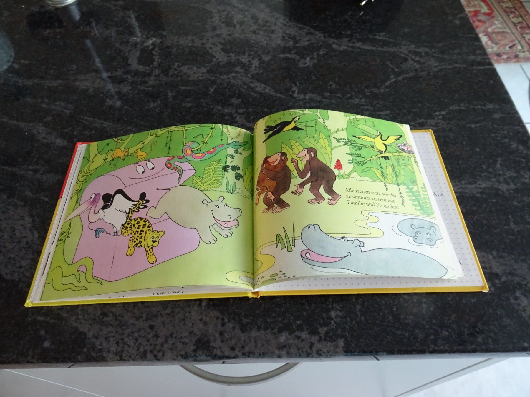 Bücher: BARPAPAPA DIE TIERE KLEINES FORMAT JU – Gebraucht aus Zürich von Roulet 6