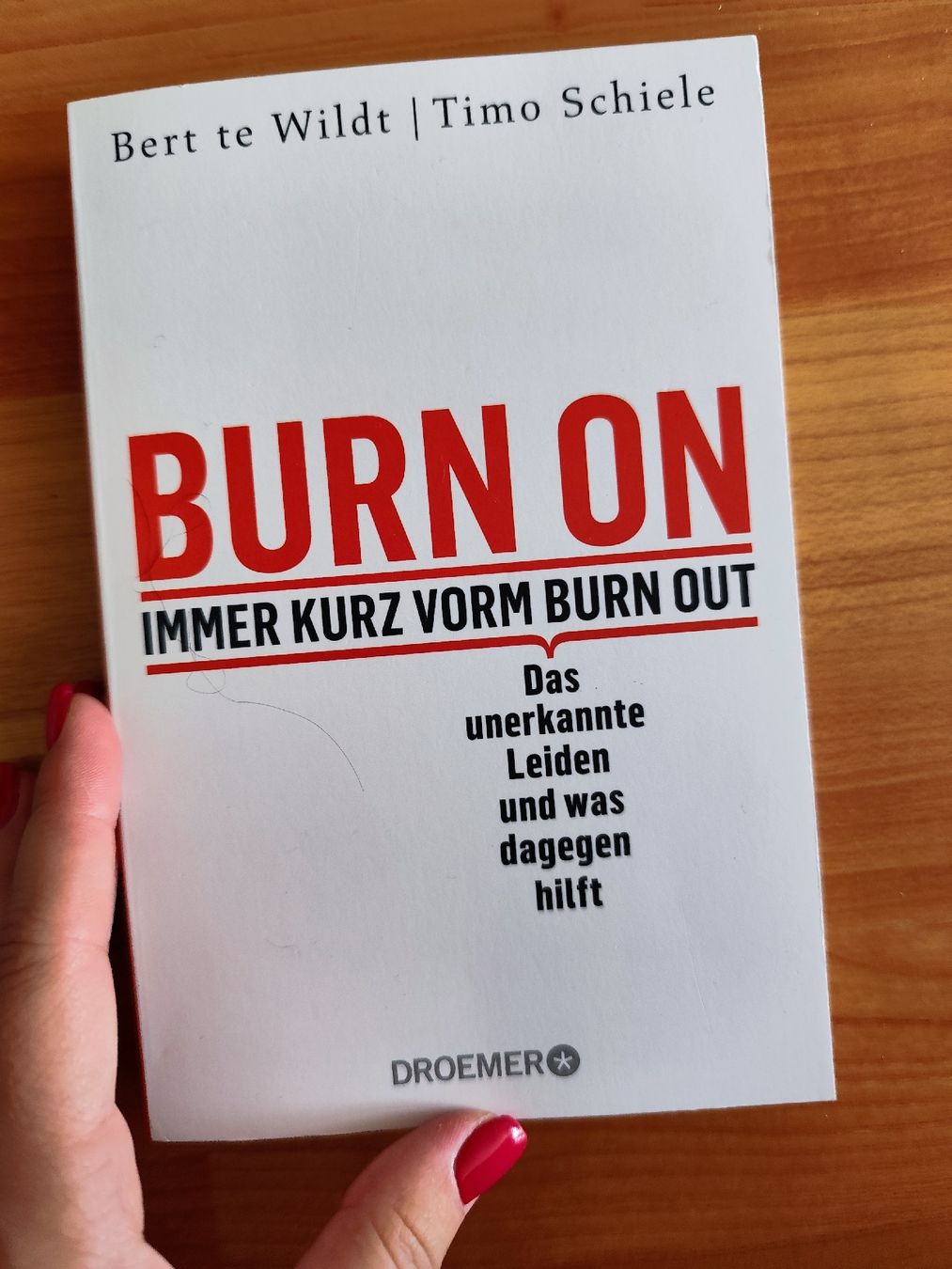 Libri: Burn On von Bert te Wildt Timo Schiele  – Usato da Mägenwil venduto da VintageGirly