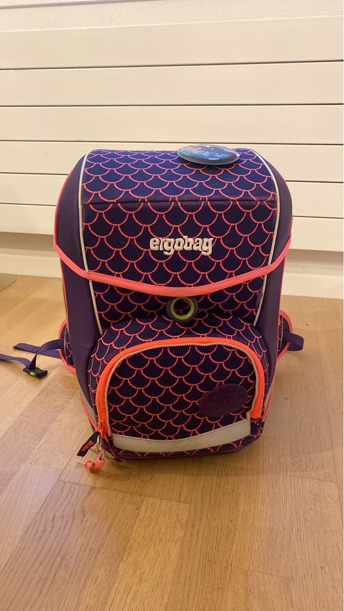 Ergobag Borse & Zaini: Ergobag Schulrucksack: Das perfekte Geschenk für Schulkinder – Usato da Wald ZH venduto da Seller_8