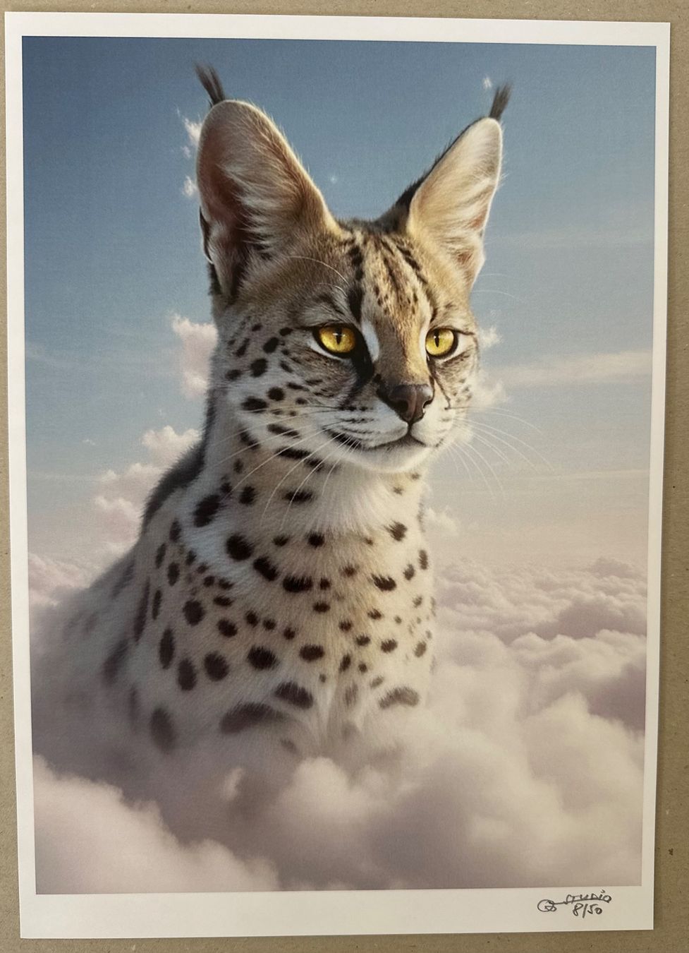 Foto & Immagini: Bubble Studio: Himmel-Katze, signiert 8/50 – Nuovo (secondo la descrizione) da Meilen venduto da Smgdesign