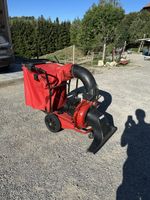 Laubsauger BS-Motor AS 75 Benzin rot gebrauchter Zustand