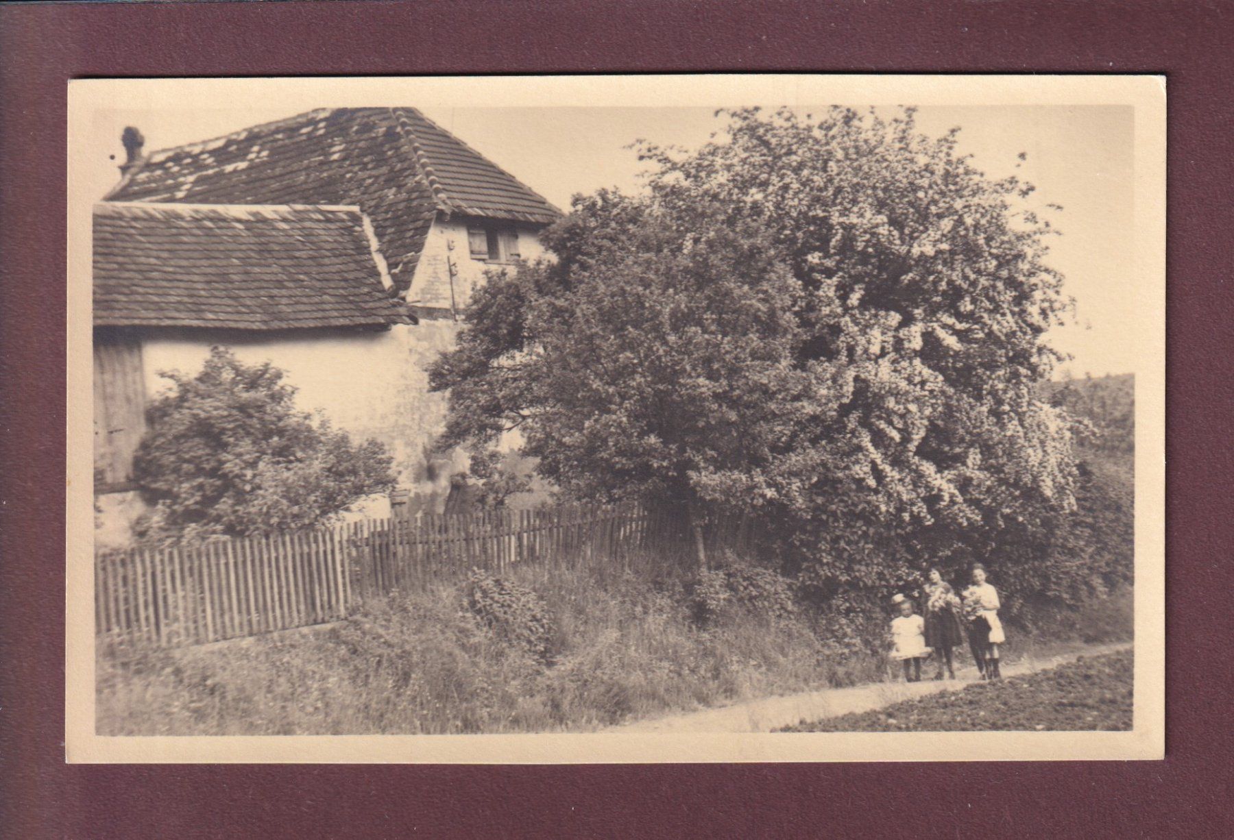 Cartoline postali: BAUERNHAUS bei Buchthalen – Usato da Pully venduto da nicecards