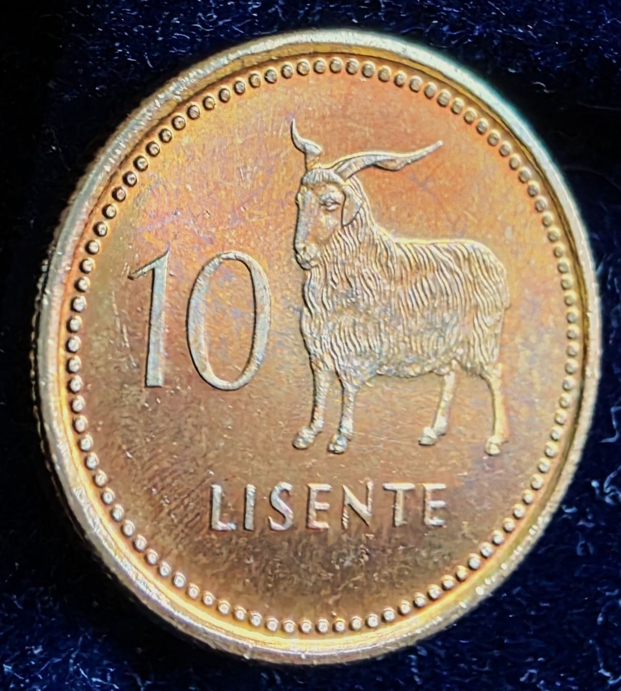 Alle Münzen: LESOTHO 10 LISENTE 1998 – Neu (gemäss Beschreibung) aus winterthur von CoinPassion
