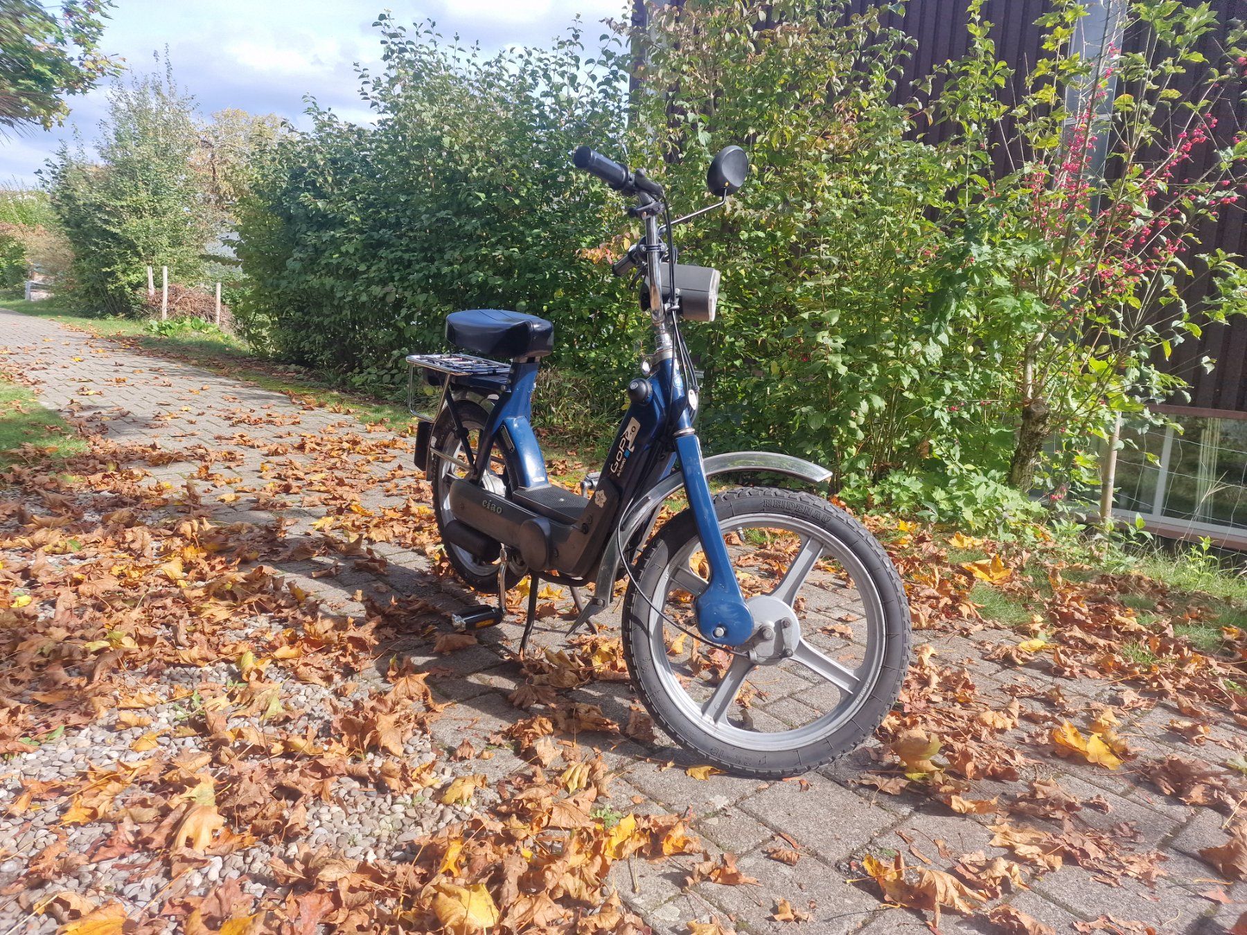 Piaggio Mofas: Piaggio Ciao Mofa – Gebraucht aus Niederwangen BE von benbrik1