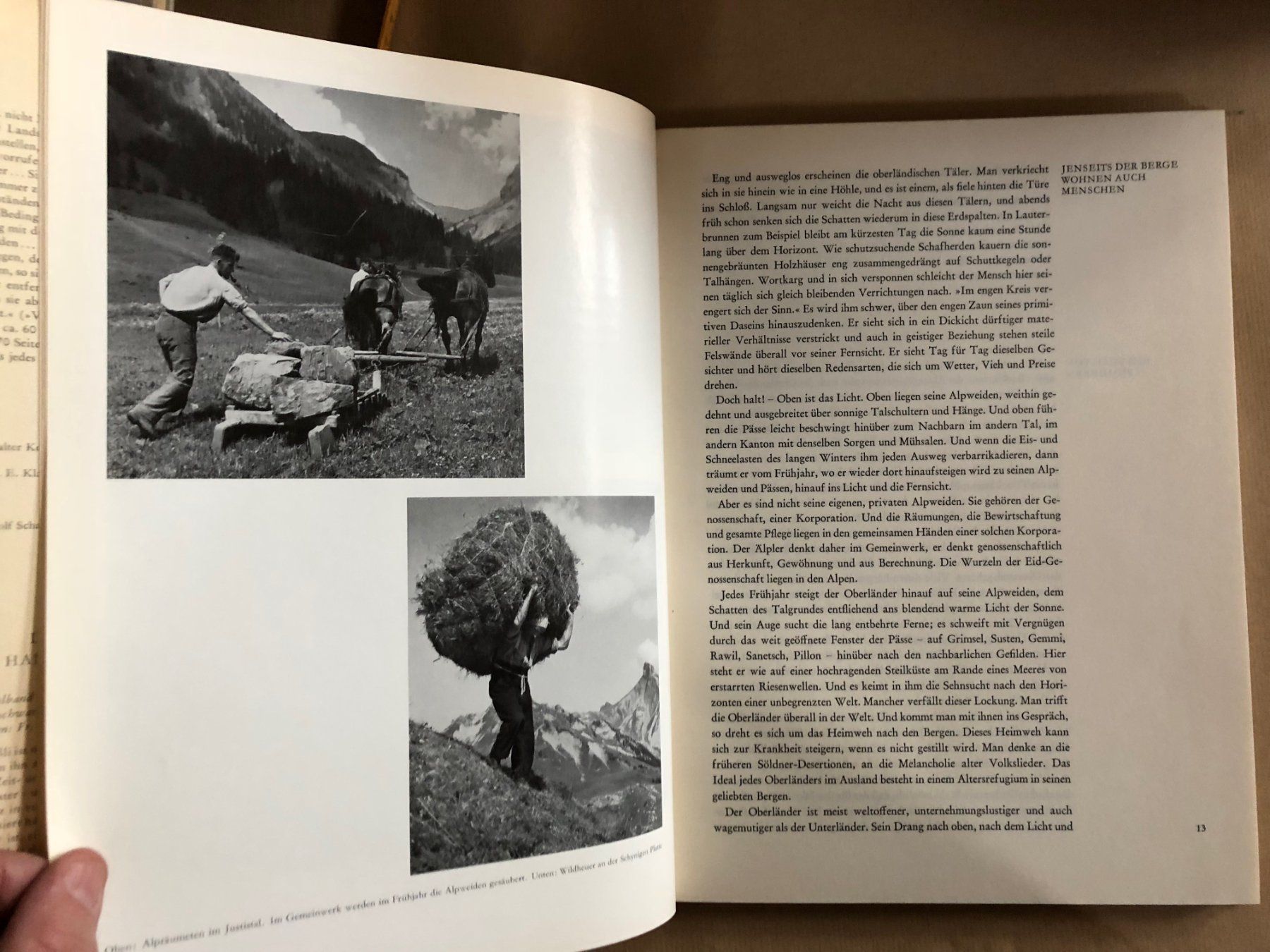 Bücher: Adolf Schaer-Ris: Das Berner Oberland. – Gebraucht aus Zürich von allp 6