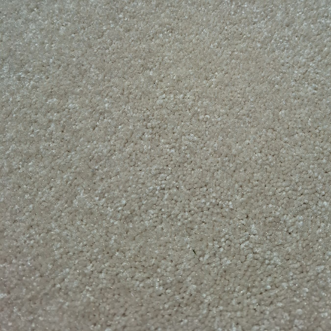 Tappeti: Teppich Hochflor 490 x 157 cm beige – Nuovo (secondo la descrizione) da Reinach BL venduto da Malin20 3