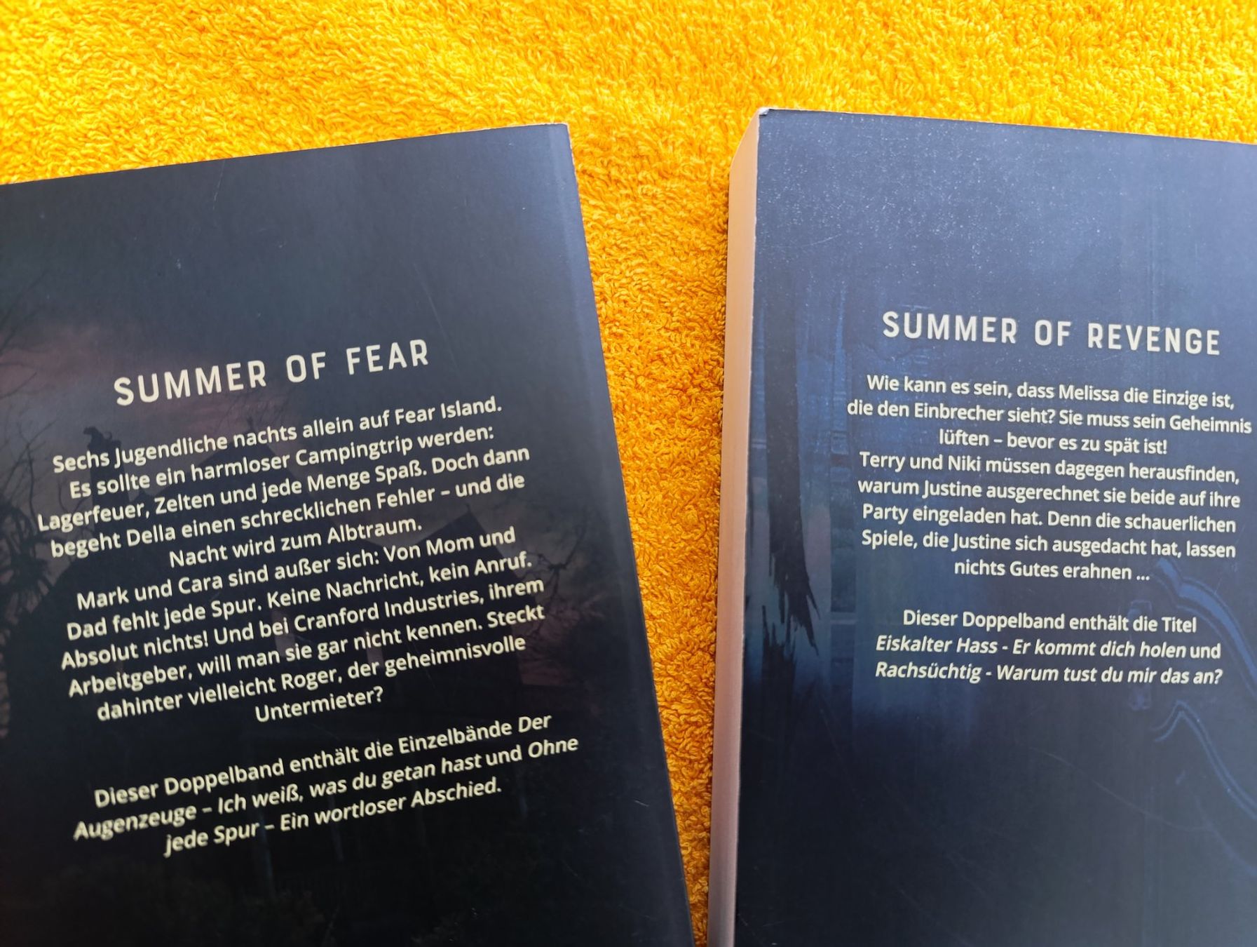 Libri: Fear Street Bücher – Usato da Thundorf venduto da Blitz_Donner 1