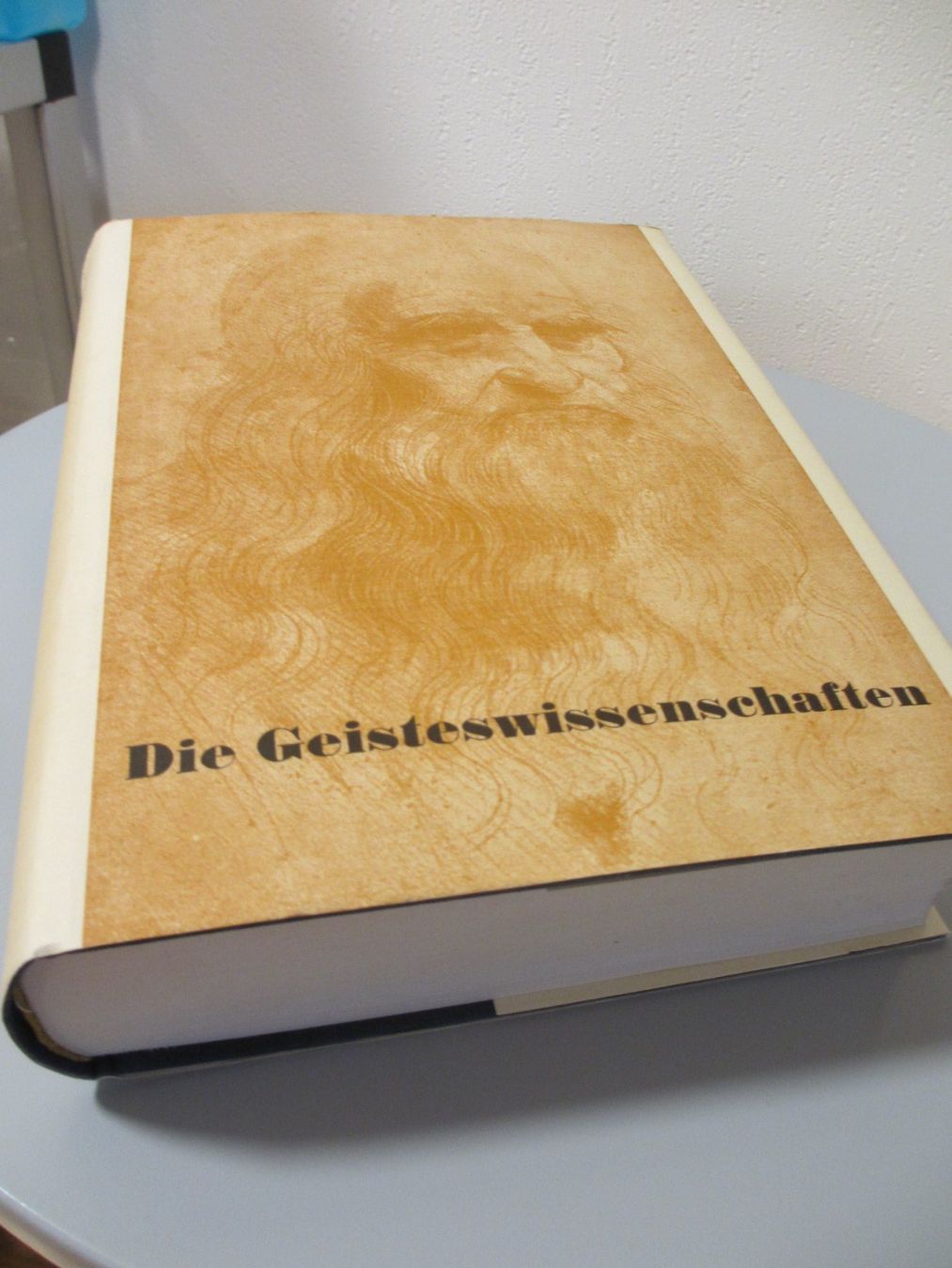 Libri: "Die Geisteswissenschaften" – Usato da Herisau venduto da fan_h9qj 3