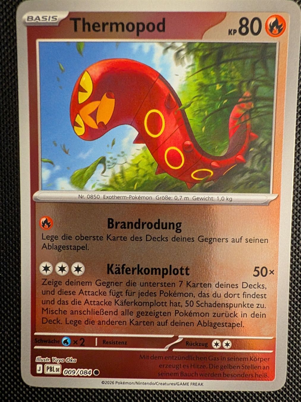 Pokémon Carte collezionabili: Thermopod (Sizzlipede) – Nuovo (secondo la descrizione) da Märstetten venduto da eri_9lt8