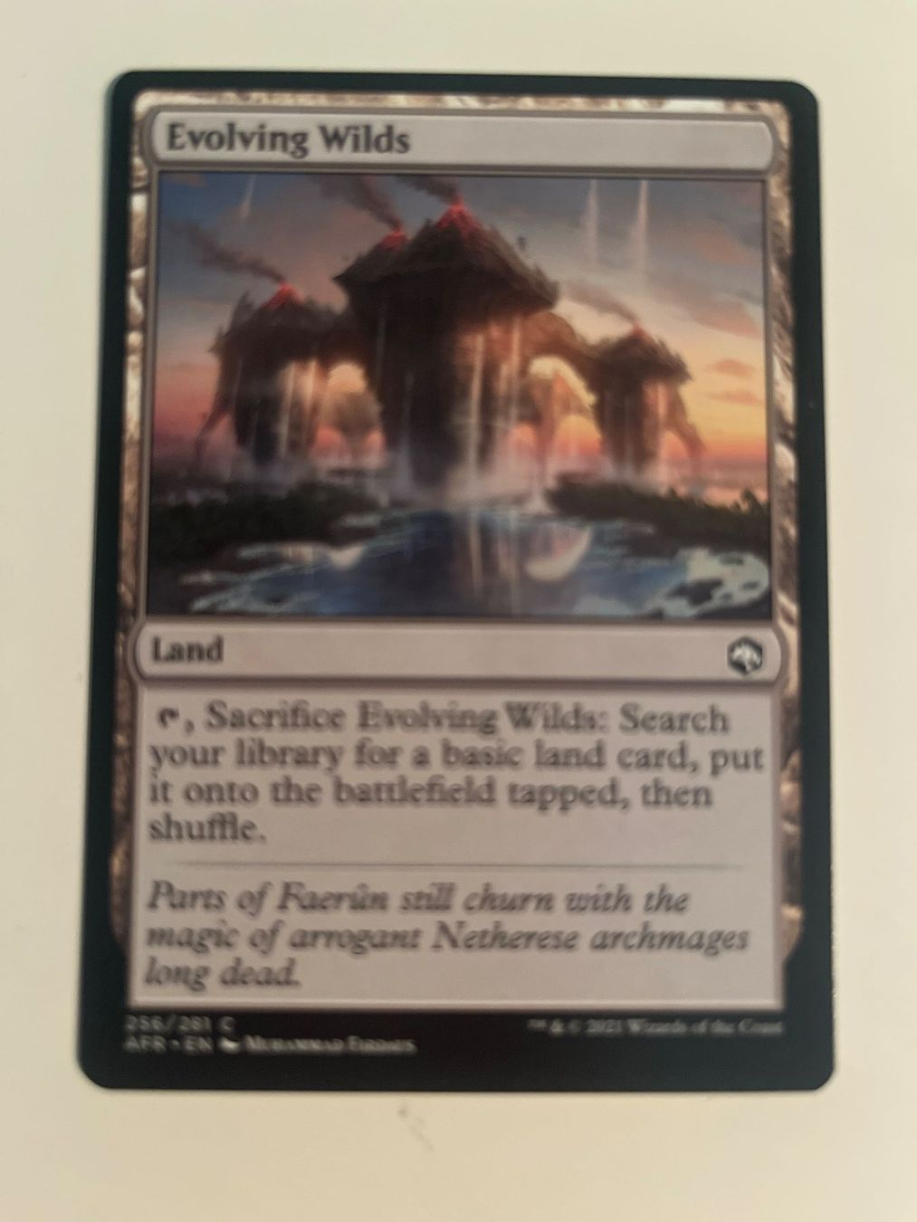 Magic The Gathering Carte collezionabili: 1 x Evolving Wilds - Magic: The Gathering - MtG – Usato da Kriens venduto da Shadi1980