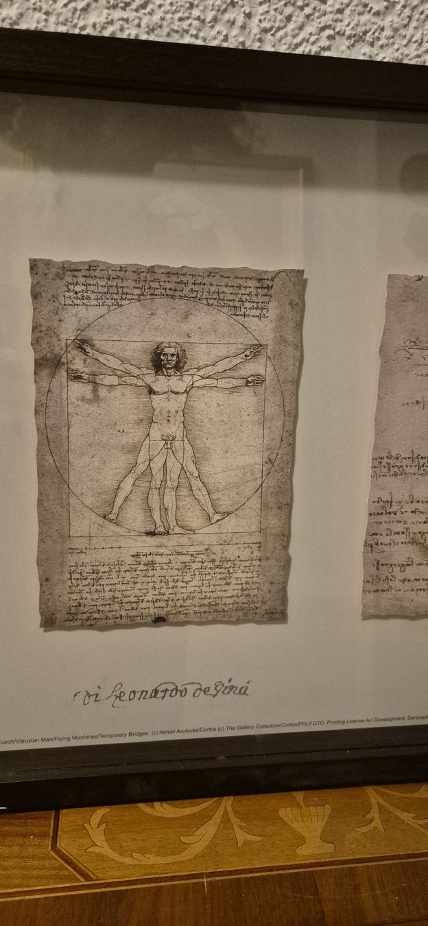 Dipinti: Tableau Inspiré / Léonard de Vinci – Usato da Fribourg venduto da hug_2ssc 6