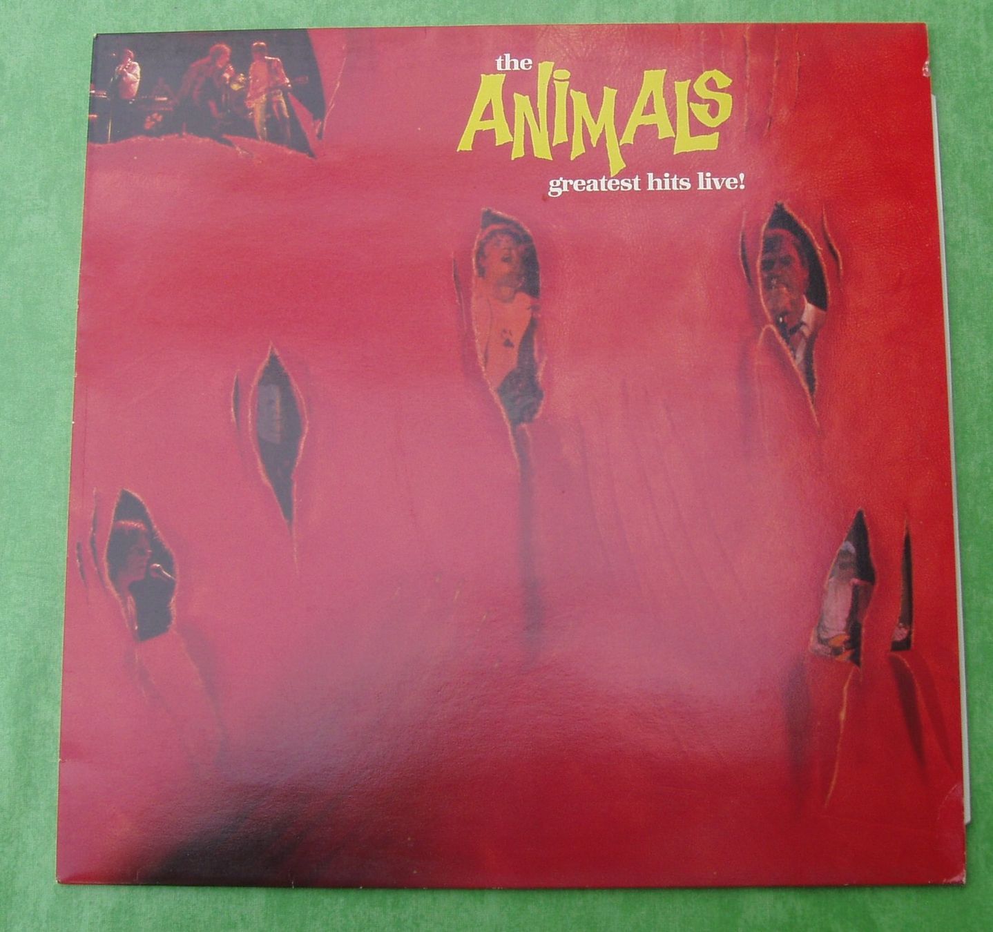 Vinyles: ANIMALS Greatest hits live – D'occasion à Boussens par catfood01