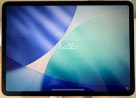 Apple iPad Pro 11" 2018 – 64 GB Wi-Fi – Space Gray – OVP + H
