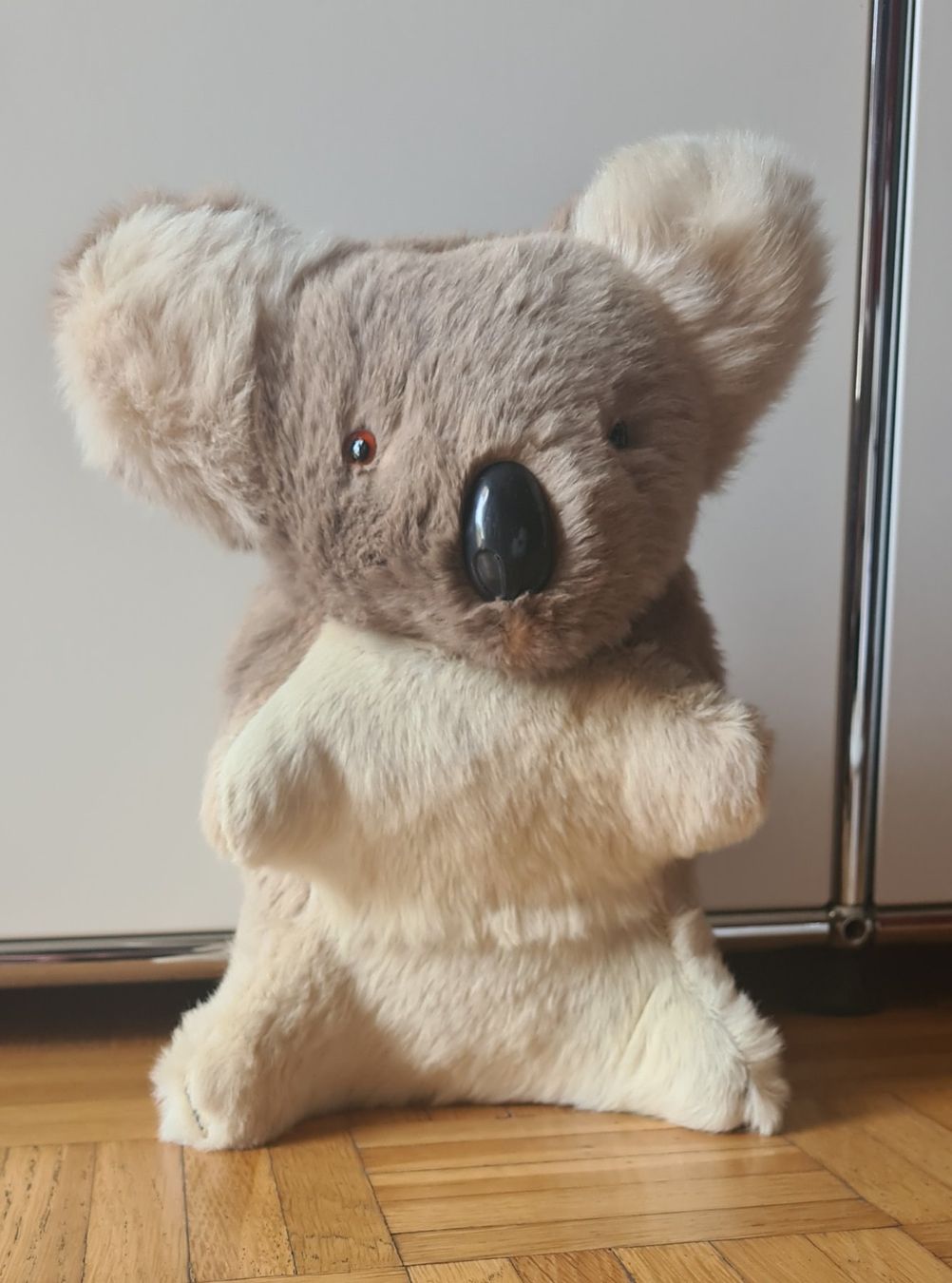 Tutte le decorazioni: Plüschtier Koala – Usato da Zürich venduto da tku755 2
