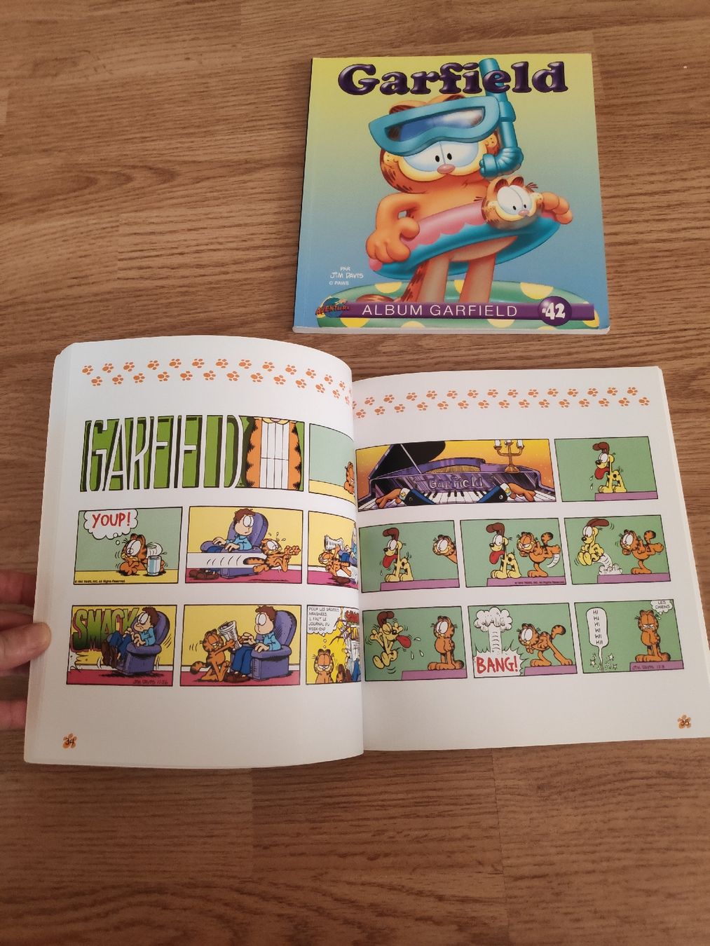 Fumetti: Bds Garfield – Usato da Couvet venduto da fat_kyl7 1