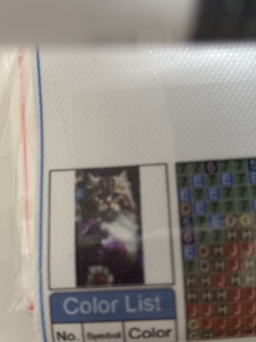 Kit bricolage: Diamond Paiting 🐈 30x50 – Nuovo (secondo la descrizione) da Amriswil venduto da SCHLOSSGEISTLI