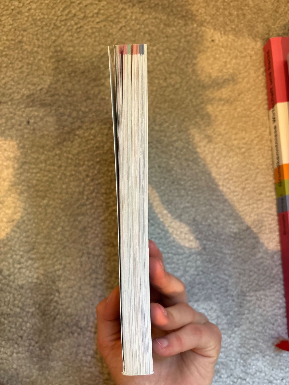Libri: Words in Context Thematischer Oberstufenwortschatz – Usato da Grub SG venduto da Vinciguerra 3
