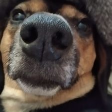 Profile image of E-Pic