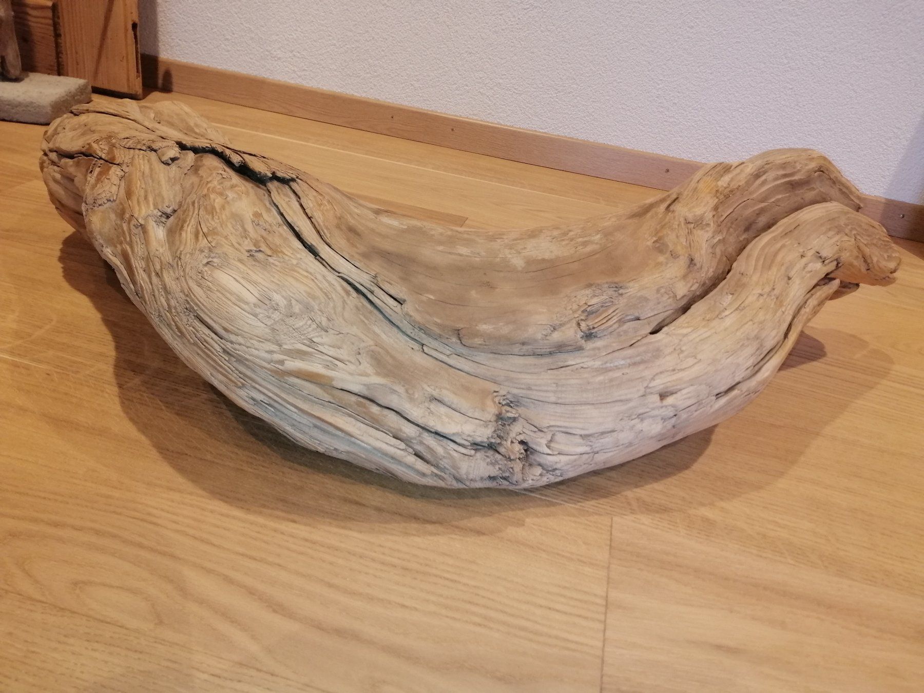 Articoli in legno: Grosses Dekor Schwemmholz – Nuovo e nell'imballaggio originale da Widnau venduto da ForViolin 1
