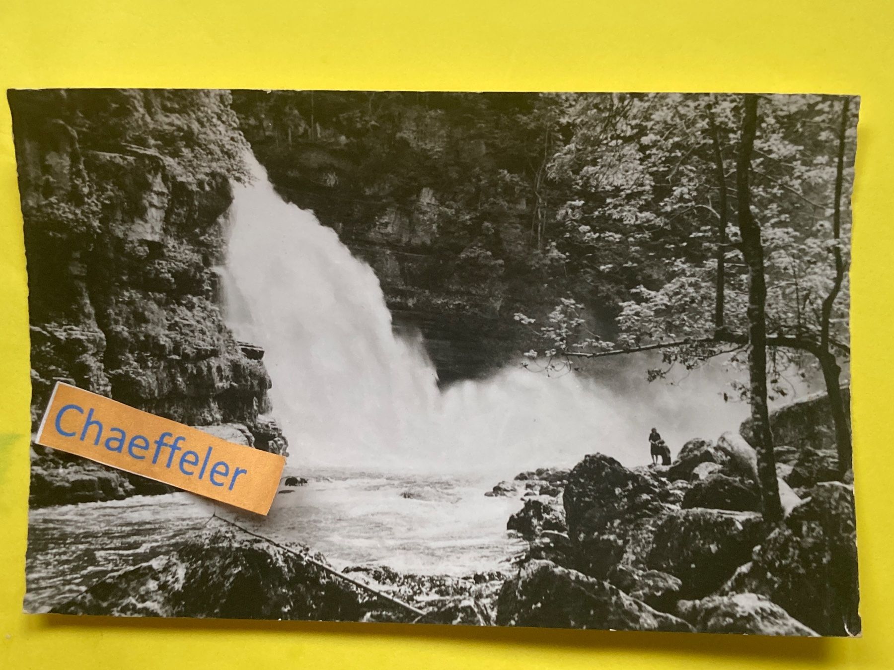 Cartoline postali: Le Saut du Doubs. Frontière Franco-Suisse – Usato da Zürich venduto da Chaeffeler