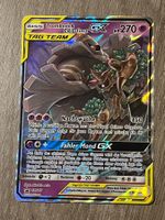 Pokemon Karte Fullart Holo Trombork & Zwirrfinst GX SM217