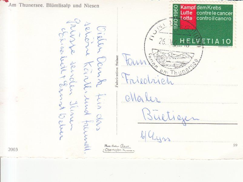 Cartoline postali: Thunersee 1960 – Usato da Bürglen TG venduto da StampGraf 1