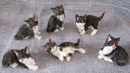 6 herzige Poly Katzen, Büsis handbemalt