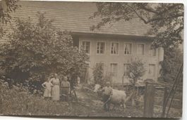 Landwirtschaft/Bauern mit Kuh 1910 Eigenthal bei Oberwil ZH