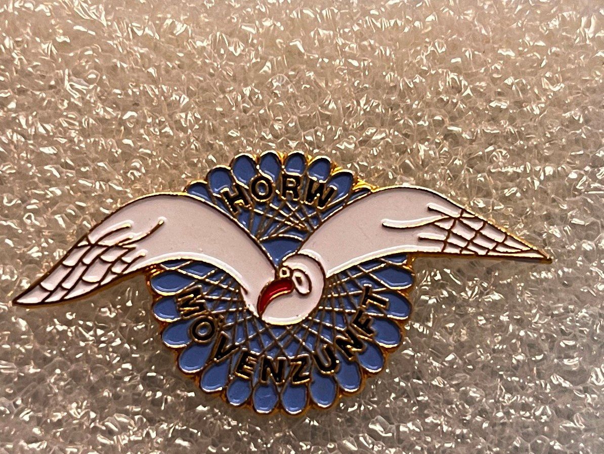 Placchette & Badge: Fasnachtspin Möven-Zunft Horw – Usato da Obernau venduto da Wgnom