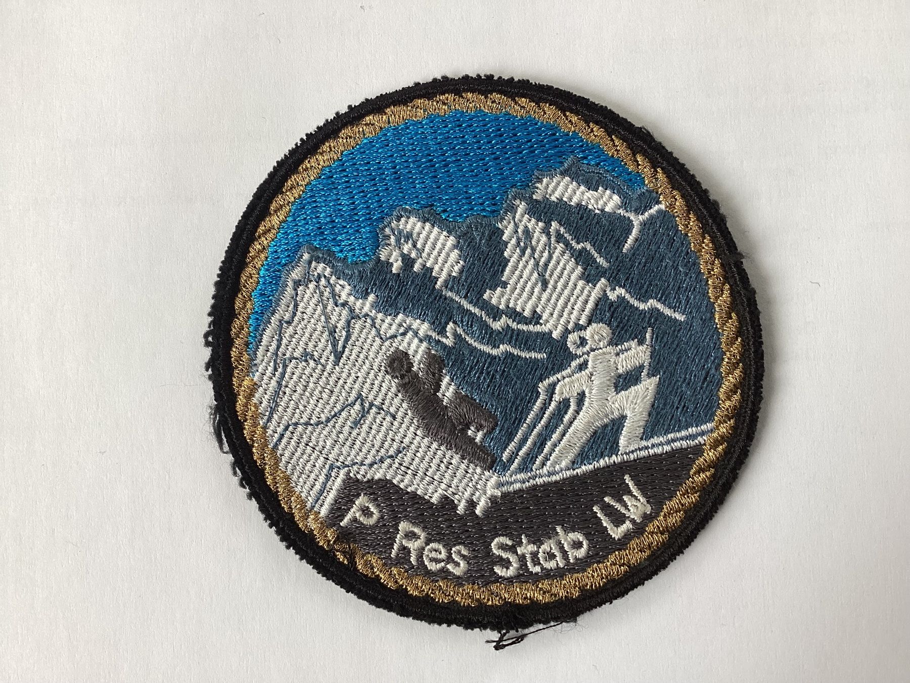 Schweizer Armee Plaketten & Abzeichen: Badges – Gebraucht aus niederurnen von Hagugelmann