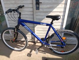 Velo California beasty
