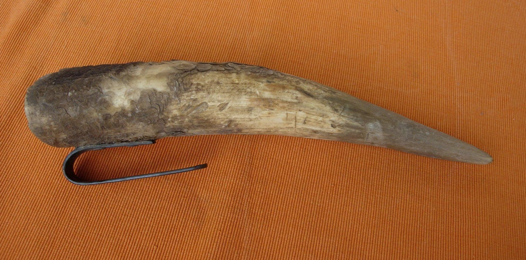 Fossili: Horn - Wettsteinfass - alt – Usato da Basel venduto da Grbina64 2