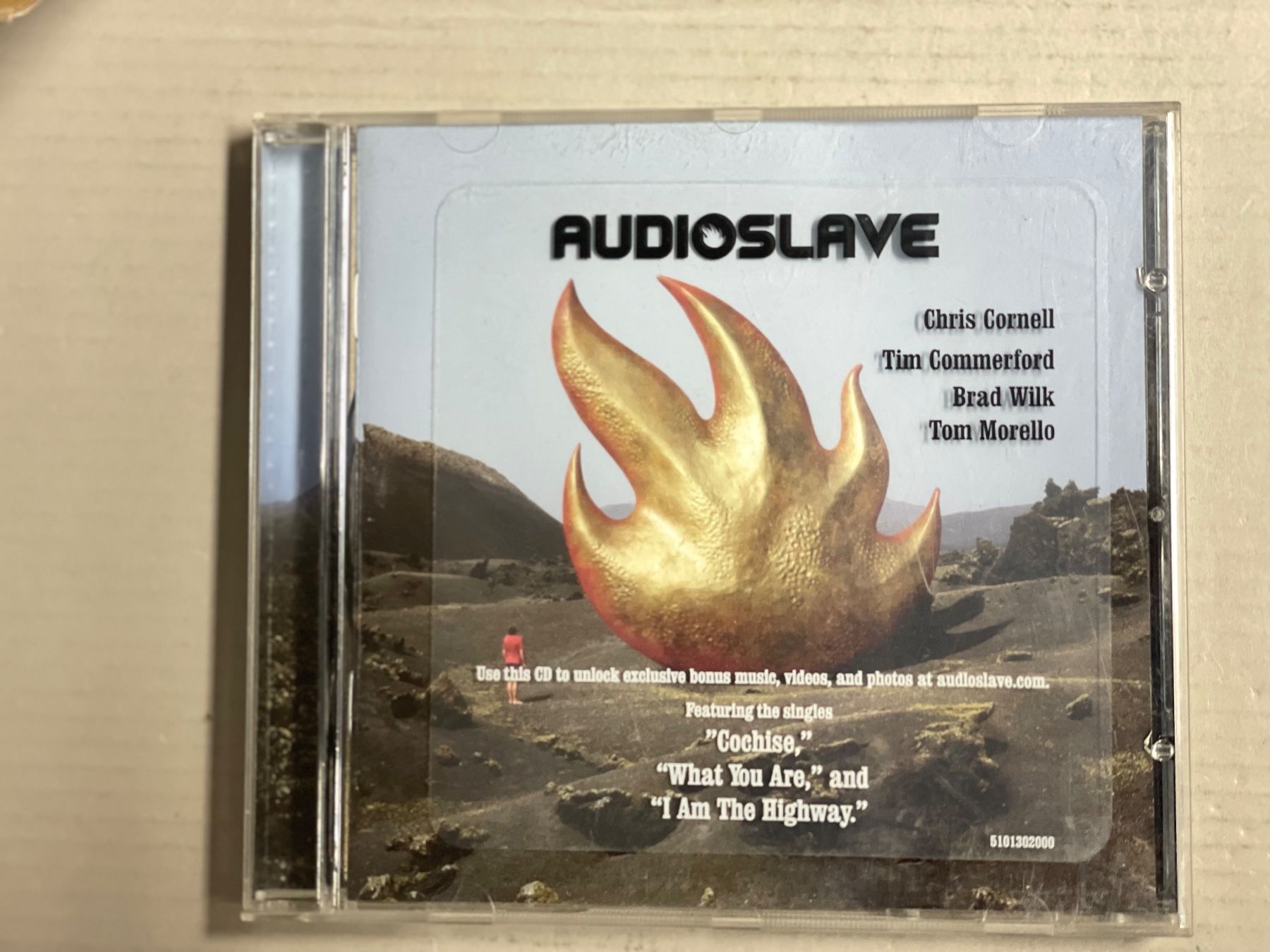 CD: Audioslave-Grunge – Usato da Muri b. Bern venduto da AdidasCollector 4