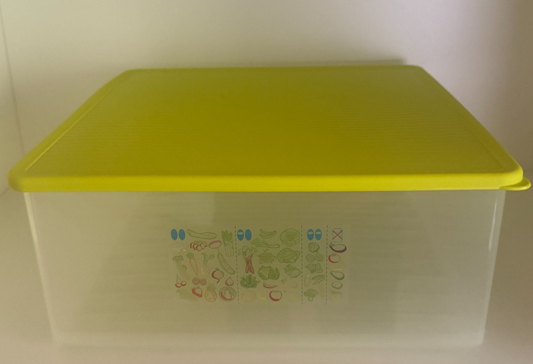 Tupperware Recipients et similaires: Tupperware - FridgeSmart Plus – Neuf (Voir description) à Kaufdorf par bambulka22