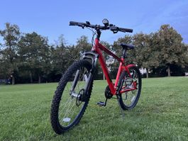 Princeton Mountainbike Rot – 24 Gänge – Scheibenbremsen