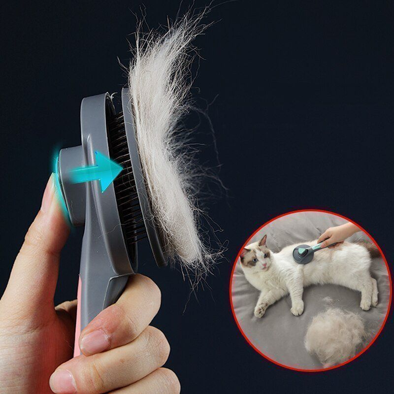 Altro per la casa: Brosse à chat – Nuovo e nell'imballaggio originale da Uvrier venduto da AlpineTreasures 1