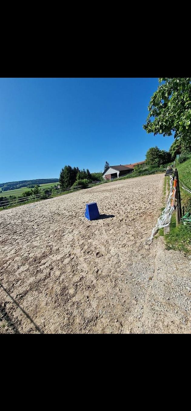 Servizi & Riparazioni: Pension boxe / pré (auto/semi-gestion possible) – Usato da Villaz-St-Pierre venduto da Rubytys 3