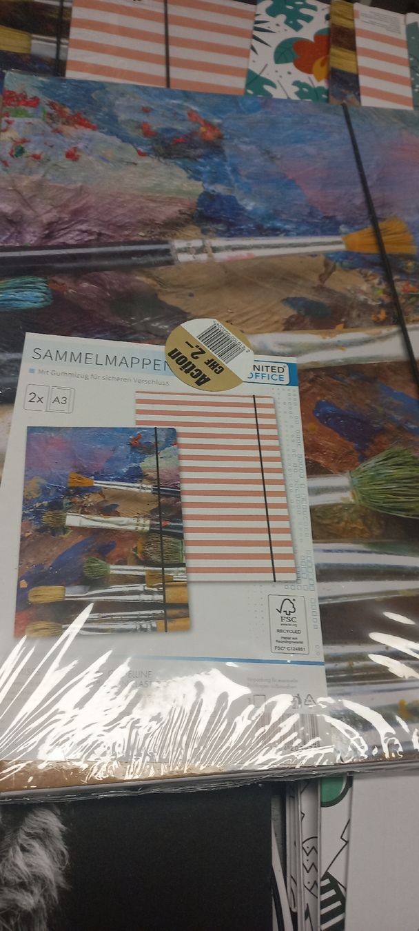 Raccoglitori: Sammelmappen A3/A4 – Nuovo (secondo la descrizione) da Flawil venduto da nimyqu 5
