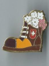Plaketten & Abzeichen: Wander-Schuh Pin – Gebraucht aus Zürich von t24_de