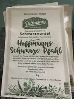 Saatgut Dillmann Schwarzwurzelsamen Hoffmanns Schwarze Pfahl