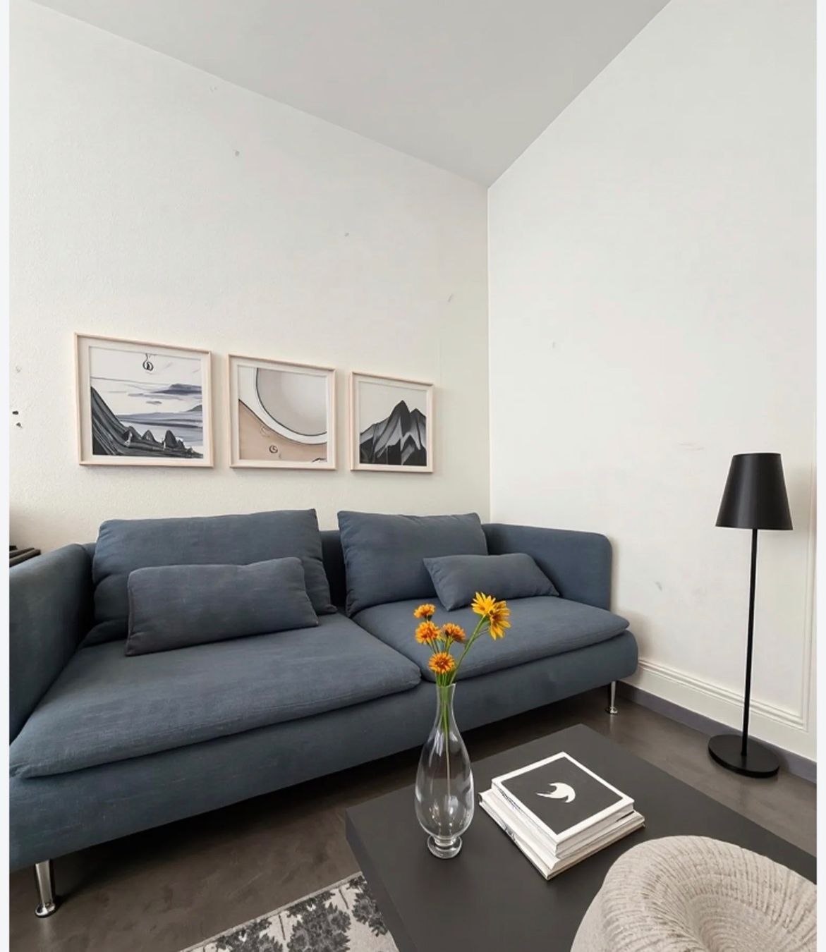 Ikea Sofas: IKEA SÖDERHAMN SOFA – D'occasion à Zürich par veso58