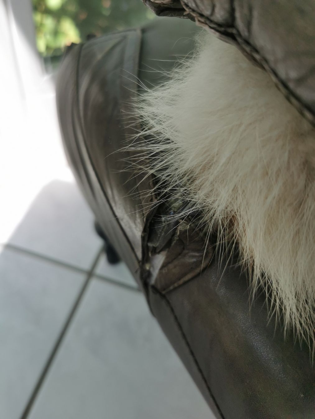 Cucce & Letti: Katzen/Hunde Bett echt Leder  – Usato da Ettingen venduto da Harley_babe 2