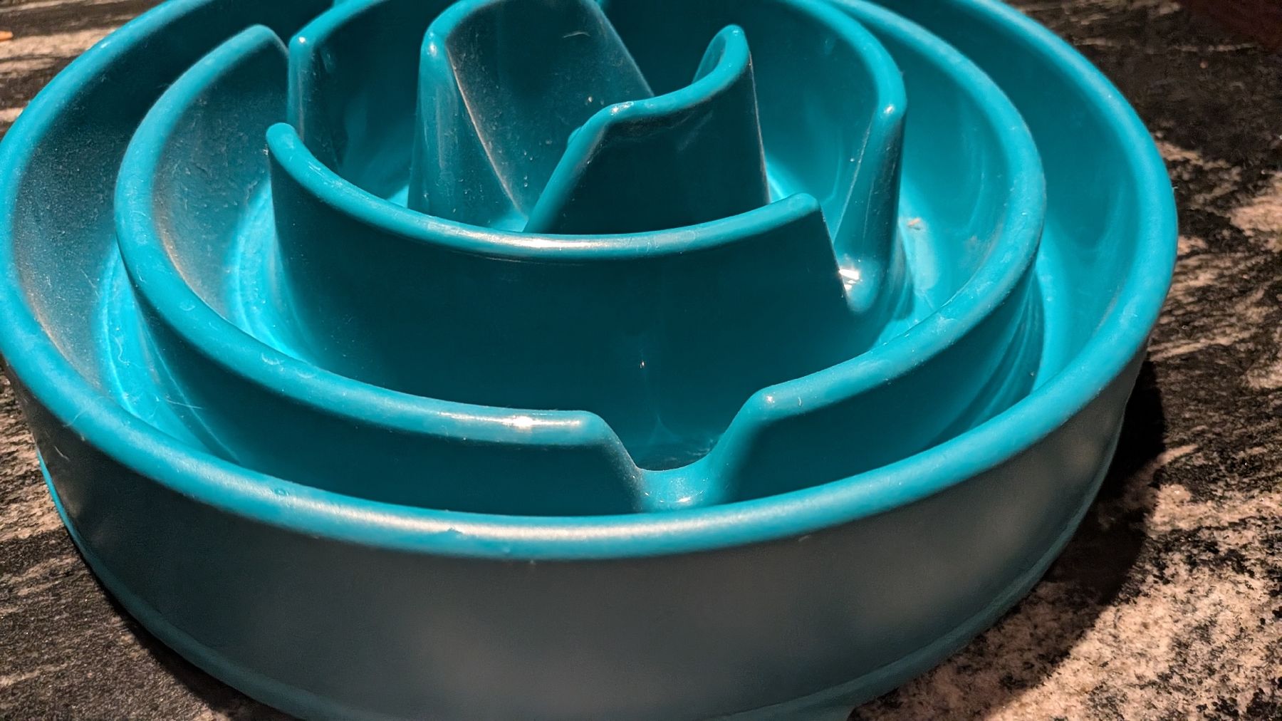 Futter: neuer Futter Napf  – Neu (gemäss Beschreibung) aus Wattenwil von karinschaw