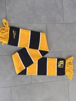 BSC Young Boys YB Bern Ostkurve