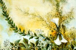 LITHOGRAPH (Europa, 20. Jh.) Florales, Pflanzen. 1970, s&n