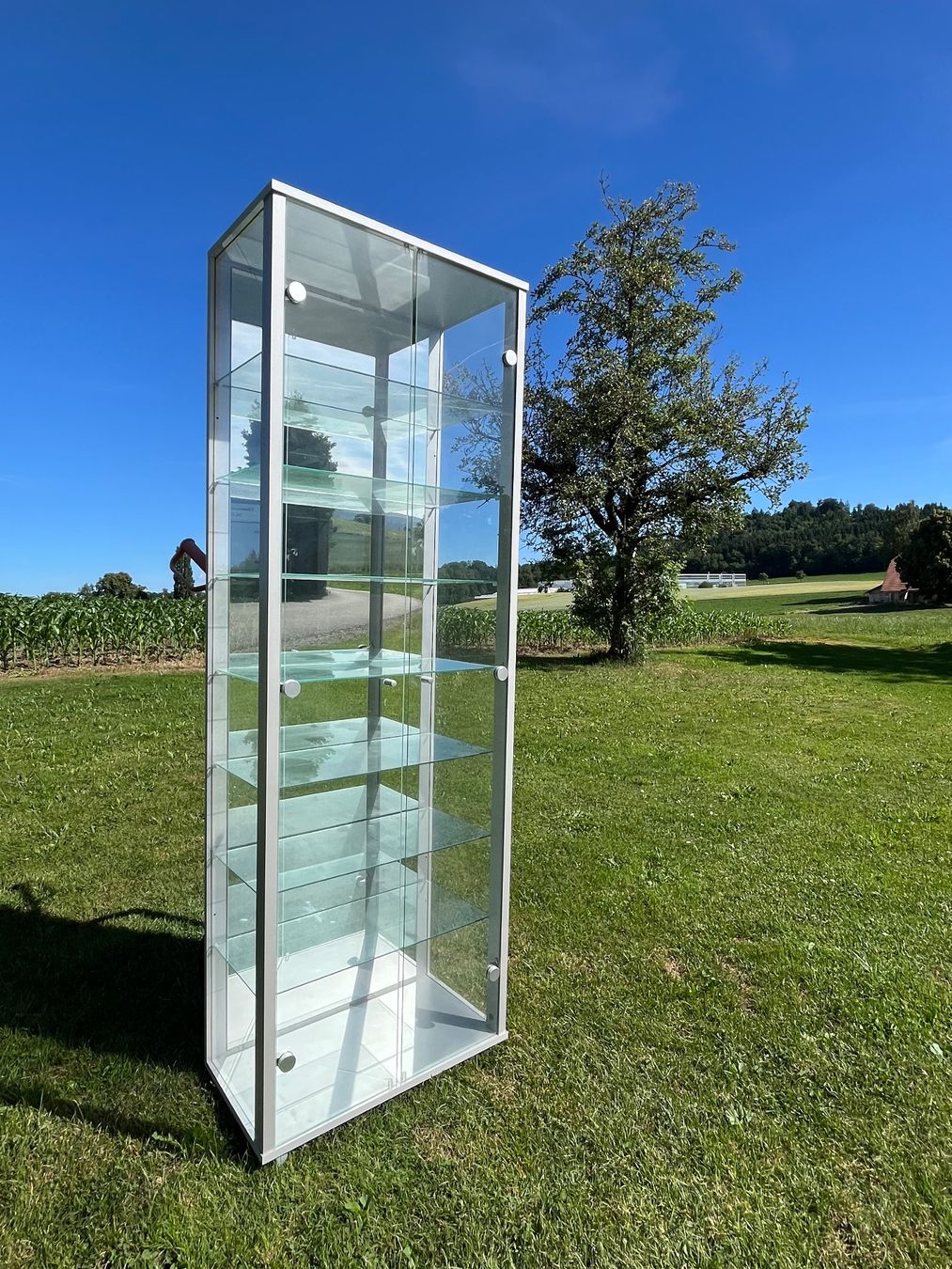 Vetrine: Glasvitrine 2 Türig – Usato da Allmendingen b. BE venduto da juair 5