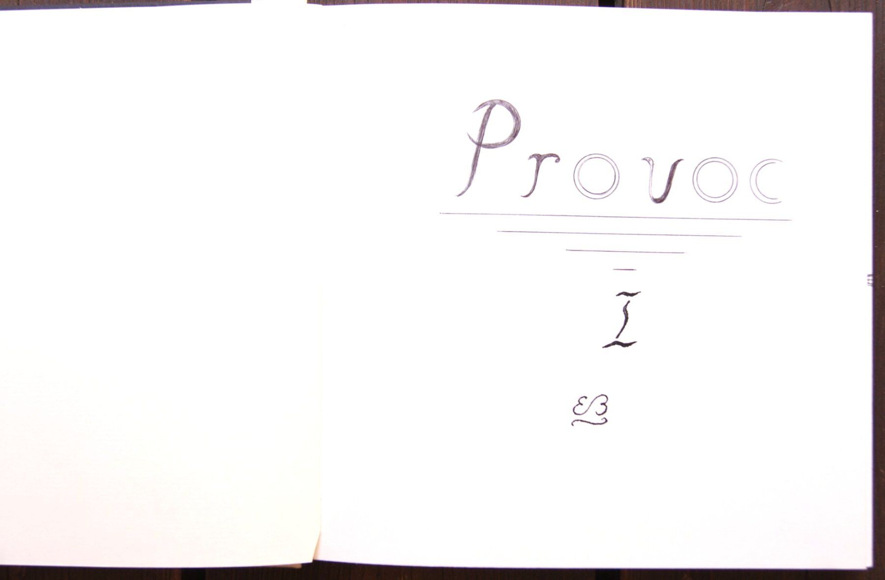 Dipinti: Zeichenbuch: Provoc I – Usato da Fribourg venduto da erw_68dx 1