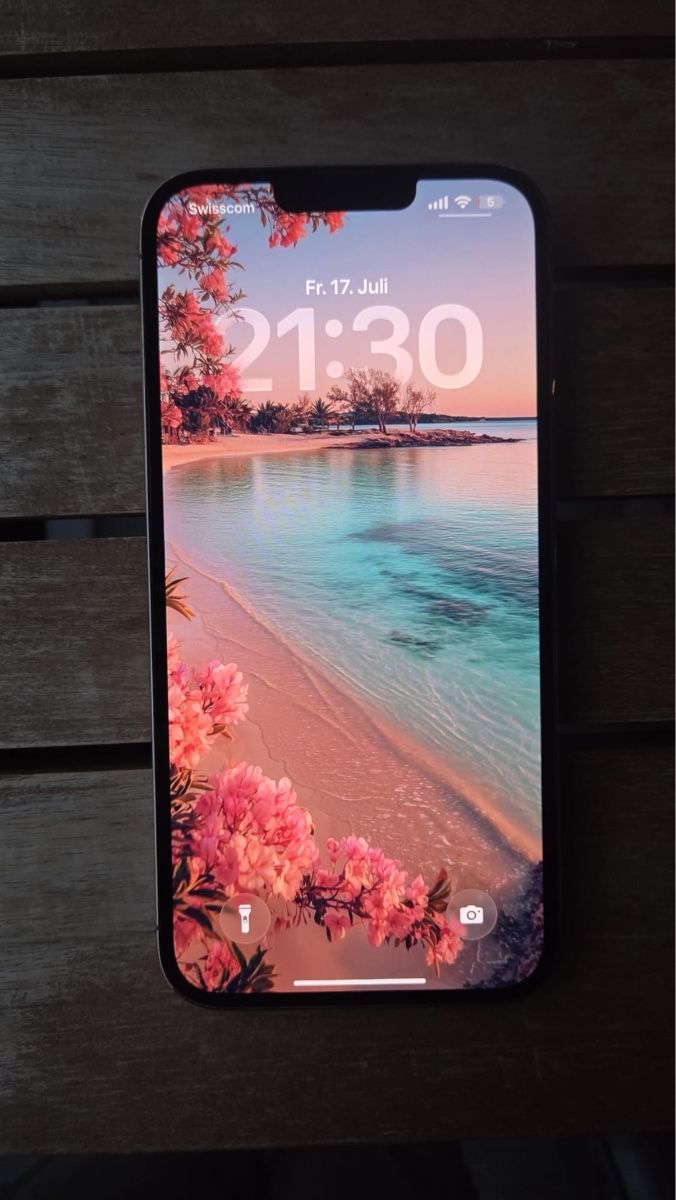 Apple Portables: IPhone 13 Pro Max / sehr guter Zustand – D'occasion à Amriswil par rox_w9lf