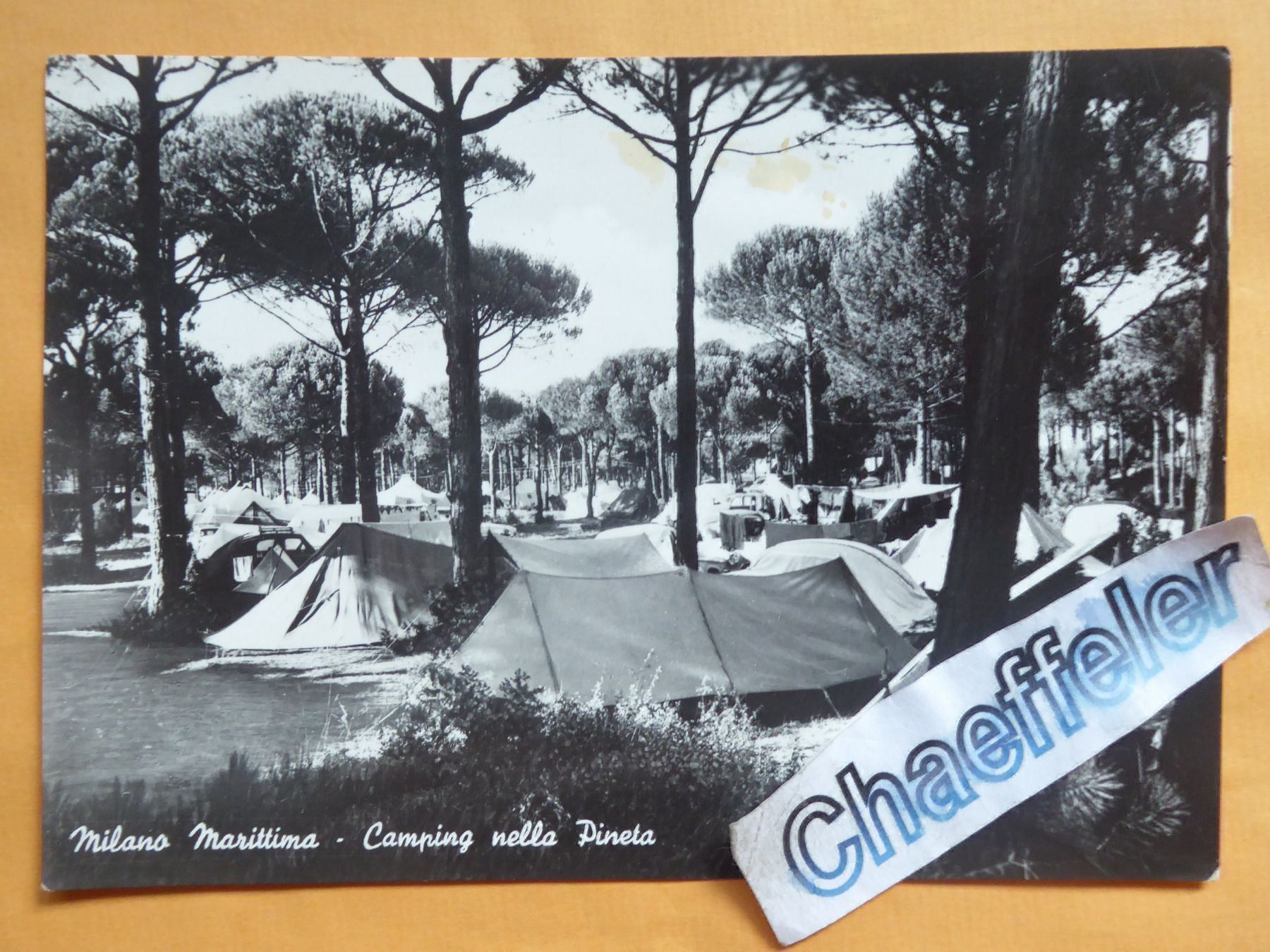 Cartes postales: 1955 Milano Marittima – D'occasion à Zürich par Chaeffeler